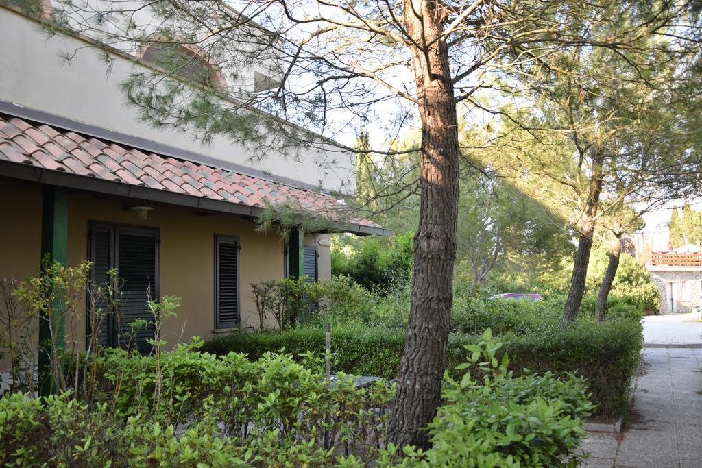 Fattoria Belvedere
