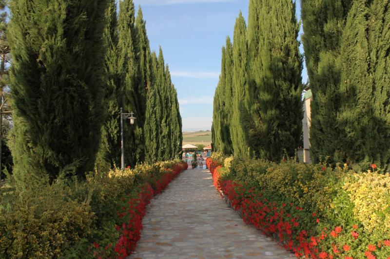 Fattoria Belvedere 4*