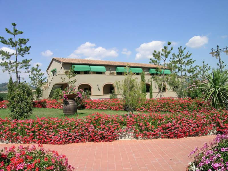 Fattoria Belvedere Guardistallo